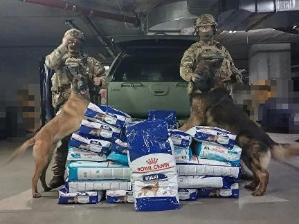 Food for service dogs